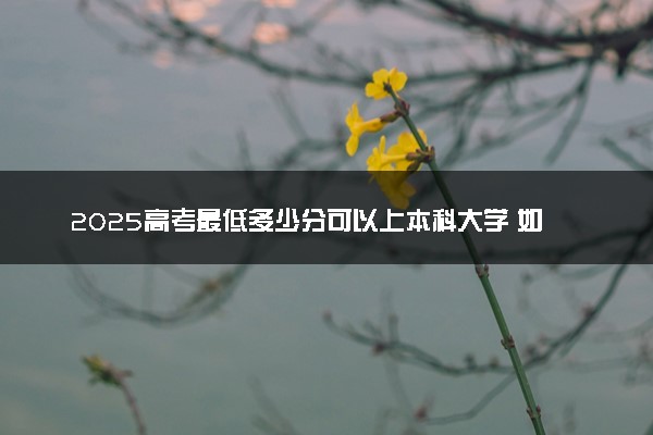2025高考最低多少分可以上本科大学 如何选适合自己的院校