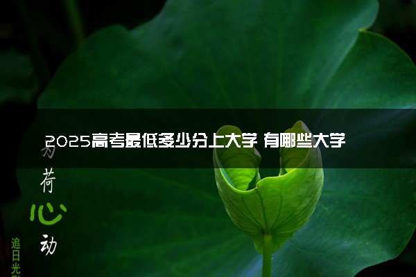2025高考最低多少分上大学 有哪些大学可以捡漏