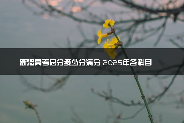 新疆高考总分多少分满分 2025年各科目分值如何分配