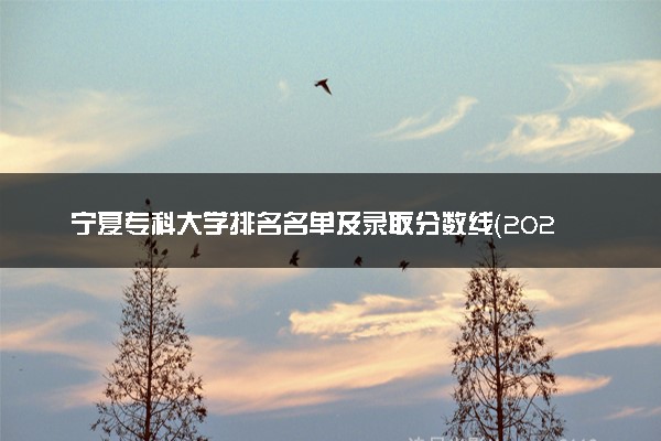 宁夏专科大学排名名单及录取分数线（2025年参考）