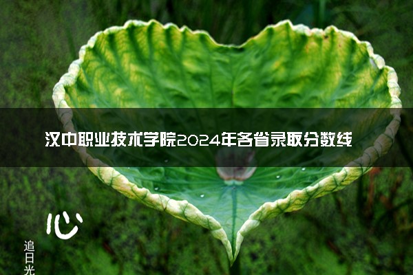 汉中职业技术学院2024年各省录取分数线 多少分能考上