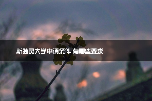 斯特灵大学申请条件 有哪些要求