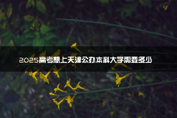 2025高考想上天津公办本科大学需要多少分 哪些院校好