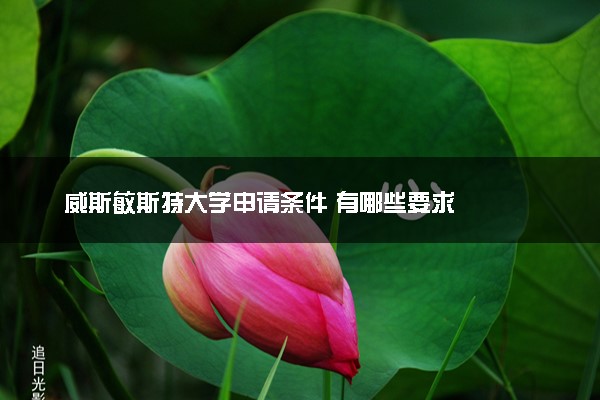威斯敏斯特大学申请条件 有哪些要求