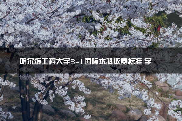哈尔滨工程大学3+1国际本科收费标准 学费多少钱