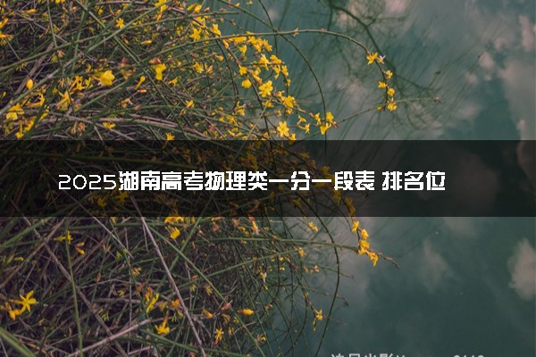 2025湖南高考物理类一分一段表 排名位次查询
