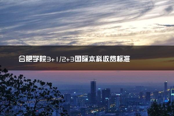 合肥学院3+1/2+3国际本科收费标准 学费多少钱