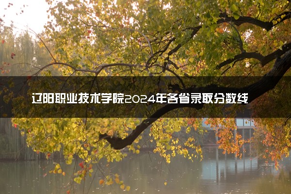 辽阳职业技术学院2024年各省录取分数线 多少分能考上