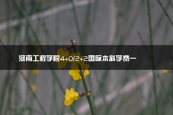 河南工程学院4+0/2+2国际本科学费一年多少钱