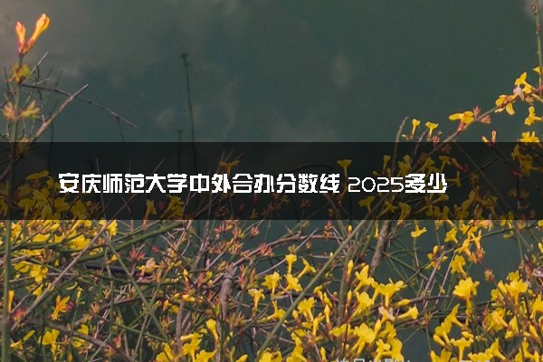 安庆师范大学中外合办分数线 2025多少分能录取