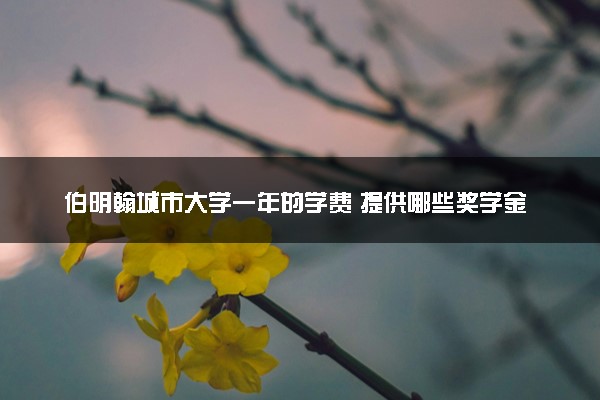 伯明翰城市大学一年的学费 提供哪些奖学金