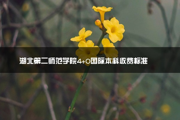 湖北第二师范学院4+0国际本科收费标准 学费多少钱