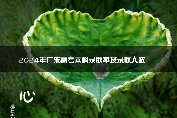 2024年广东高考本科录取率及录取人数 上线率高吗