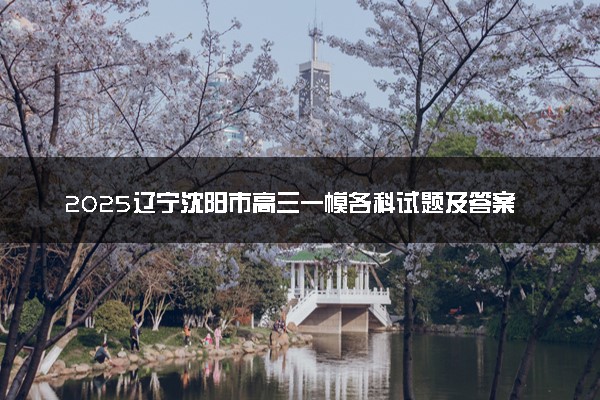 2025辽宁沈阳市高三一模各科试题及答案汇总