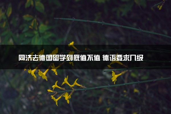 同济去德国留学到底值不值 德语要求几级