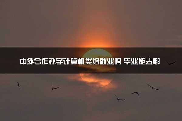 中外合作办学计算机类好就业吗 毕业能去哪