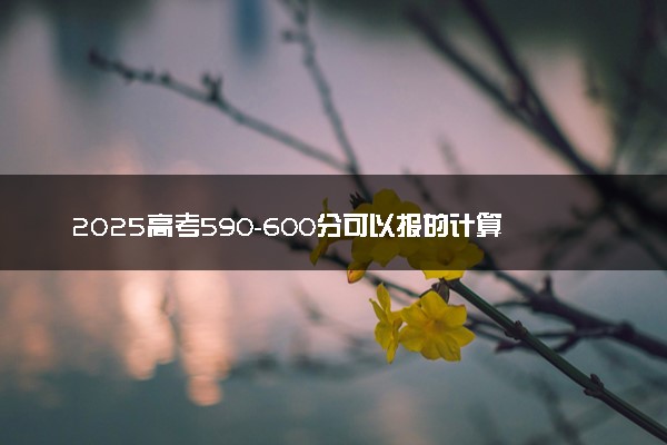 2025高考590-600分可以报的计算机类大学有哪些