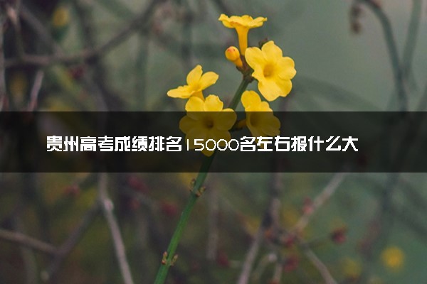 贵州高考成绩排名15000名左右报什么大学好（2025年参考）