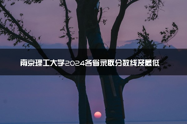 南京理工大学2024各省录取分数线及最低位次是多少