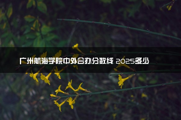 广州航海学院中外合办分数线 2025多少分能录取