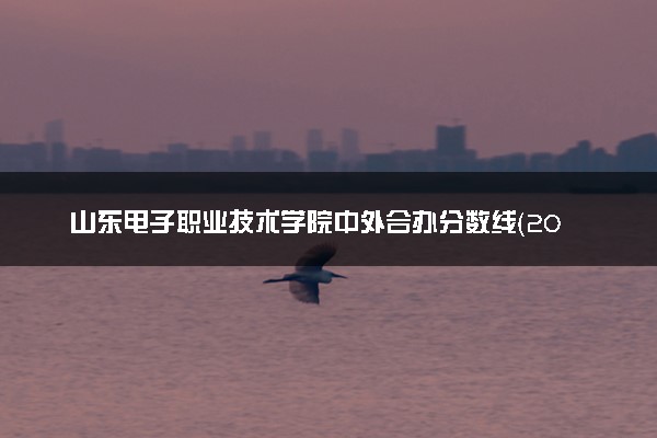 山东电子职业技术学院中外合办分数线（2025参考）