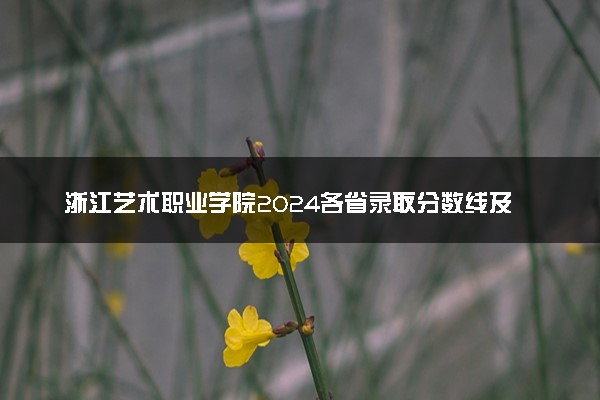 浙江艺术职业学院2024各省录取分数线及最低位次是多少