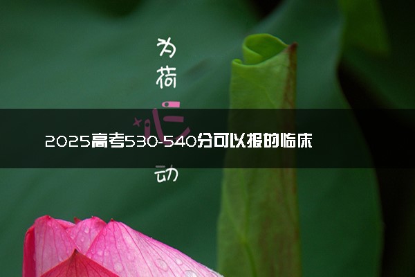 2025高考530-540分可以报的临床医学大学有哪些