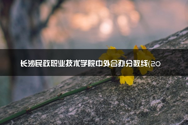 长沙民政职业技术学院中外合办分数线（2025参考）