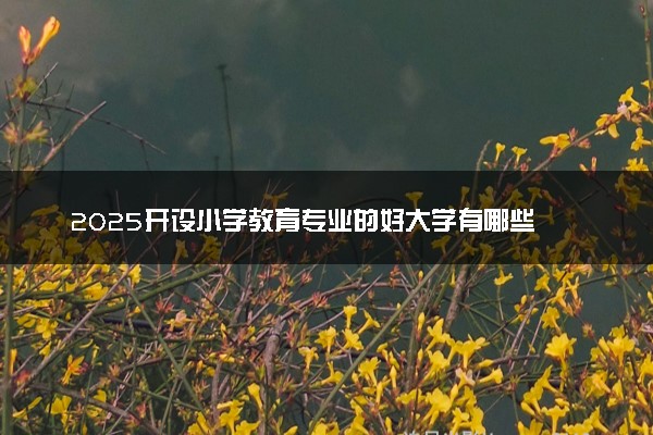 2025开设小学教育专业的好大学有哪些 多少分可以报考