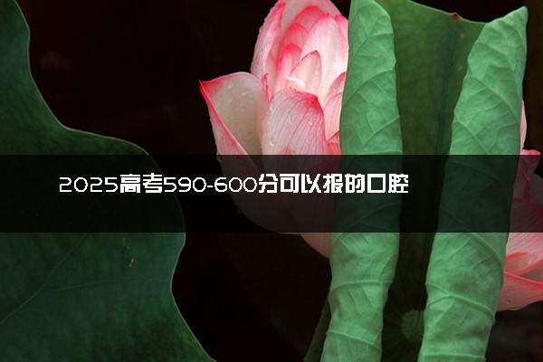 2025高考590-600分可以报的口腔医学专业大学有哪些