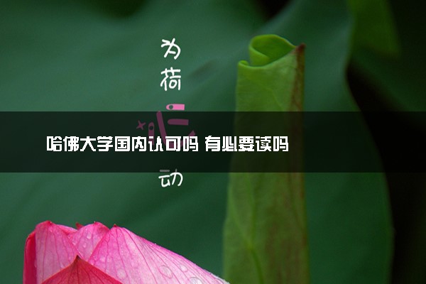 哈佛大学国内认可吗 有必要读吗