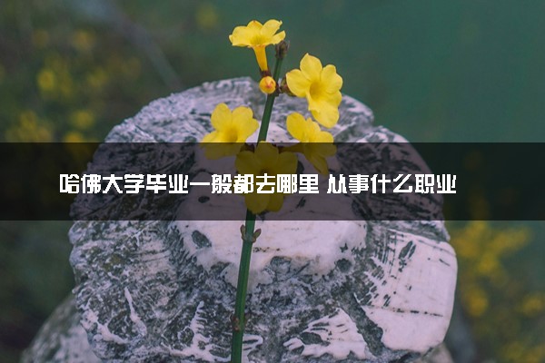 哈佛大学毕业一般都去哪里 从事什么职业