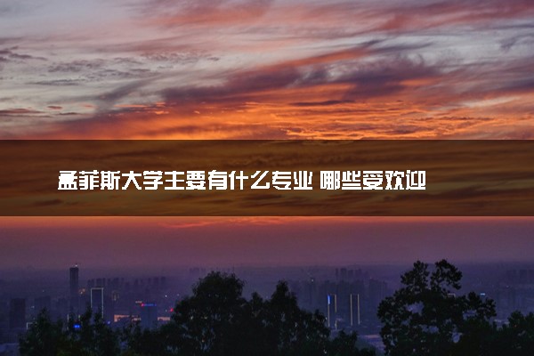 孟菲斯大学主要有什么专业 哪些受欢迎