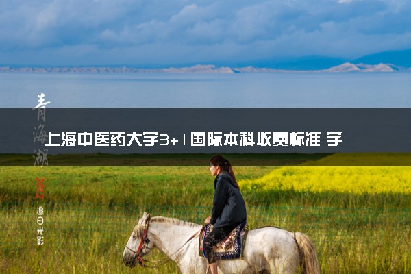 上海中医药大学3+1国际本科收费标准 学费多少钱