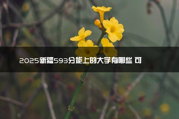 2025新疆593分能上的大学有哪些 可以报考院校名单