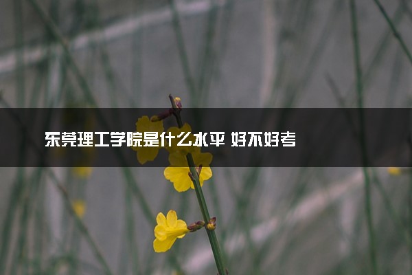 东莞理工学院是什么水平 好不好考
