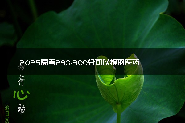 2025高考290-300分可以报的医药类大学有哪些