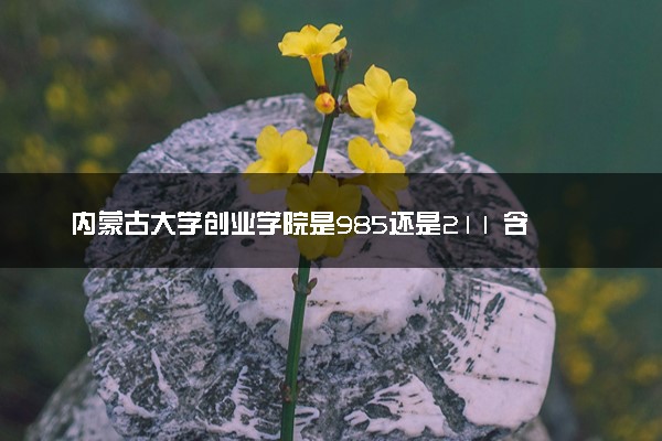 内蒙古大学创业学院是985还是211 含金量怎么样
