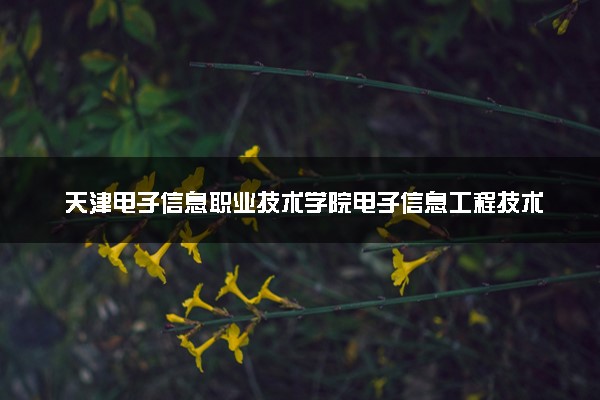 天津电子信息职业技术学院电子信息工程技术专业怎么样 录取分数线多少