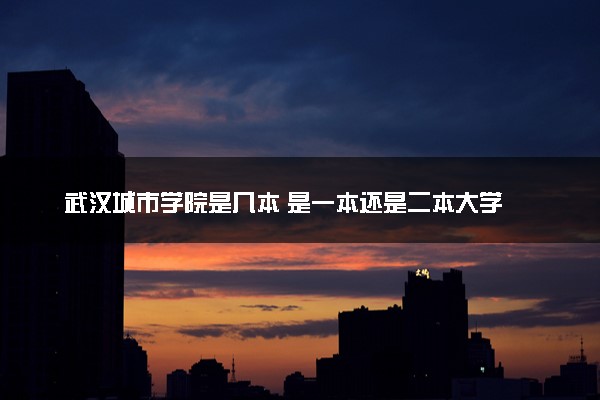 武汉城市学院是几本 是一本还是二本大学
