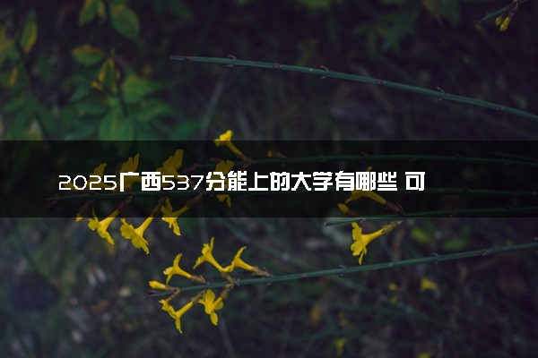 2025广西537分能上的大学有哪些 可以报考院校名单
