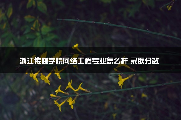 浙江传媒学院网络工程专业怎么样 录取分数线多少