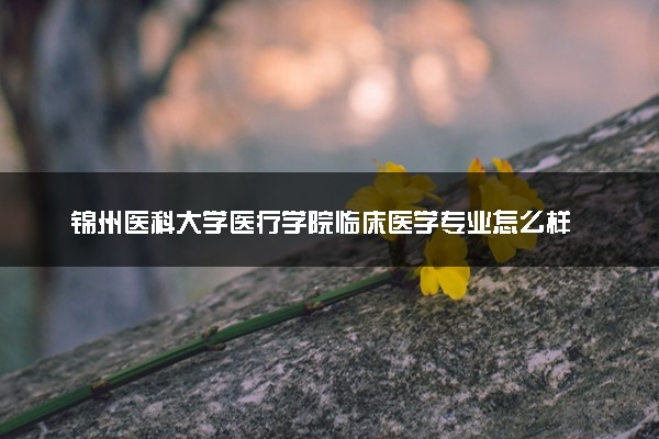 锦州医科大学医疗学院临床医学专业怎么样 录取分数线多少
