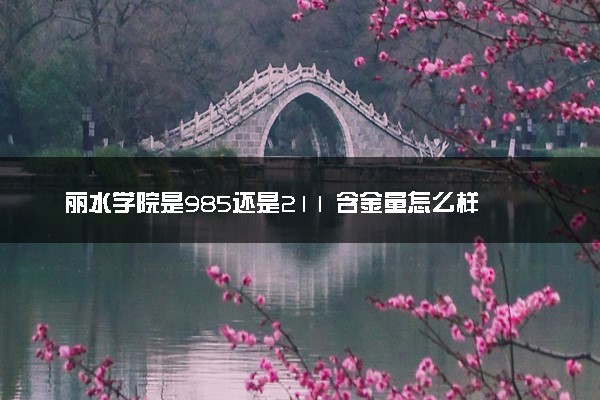 丽水学院是985还是211 含金量怎么样