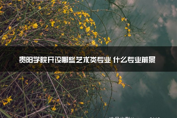 贵阳学院开设哪些艺术类专业 什么专业前景好