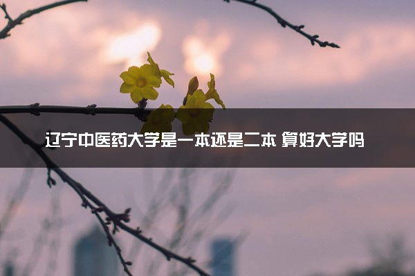 辽宁中医药大学是一本还是二本 算好大学吗