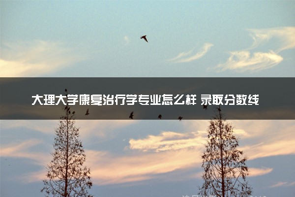 大理大学康复治疗学专业怎么样 录取分数线多少