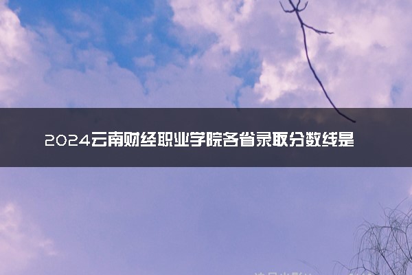 2024云南财经职业学院各省录取分数线是多少 最低分及位次