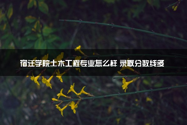 宿迁学院土木工程专业怎么样 录取分数线多少