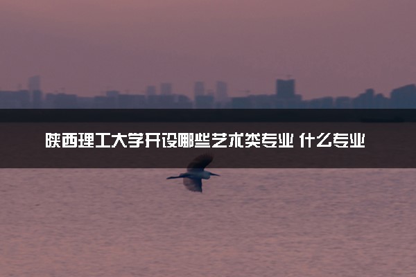 陕西理工大学开设哪些艺术类专业 什么专业前景好
